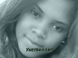 Ynesbrooks